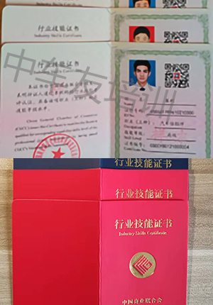 二手车鉴定评估师证书-新版-中车友培训